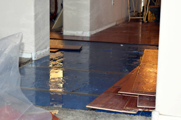 Professional Burst Pipe Cleanup technician working in Edgewood, IN