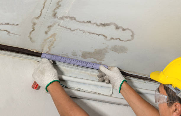 Reliable Burst Pipe Cleanup contractor in Edgewood, IN by Water Damage Irwin